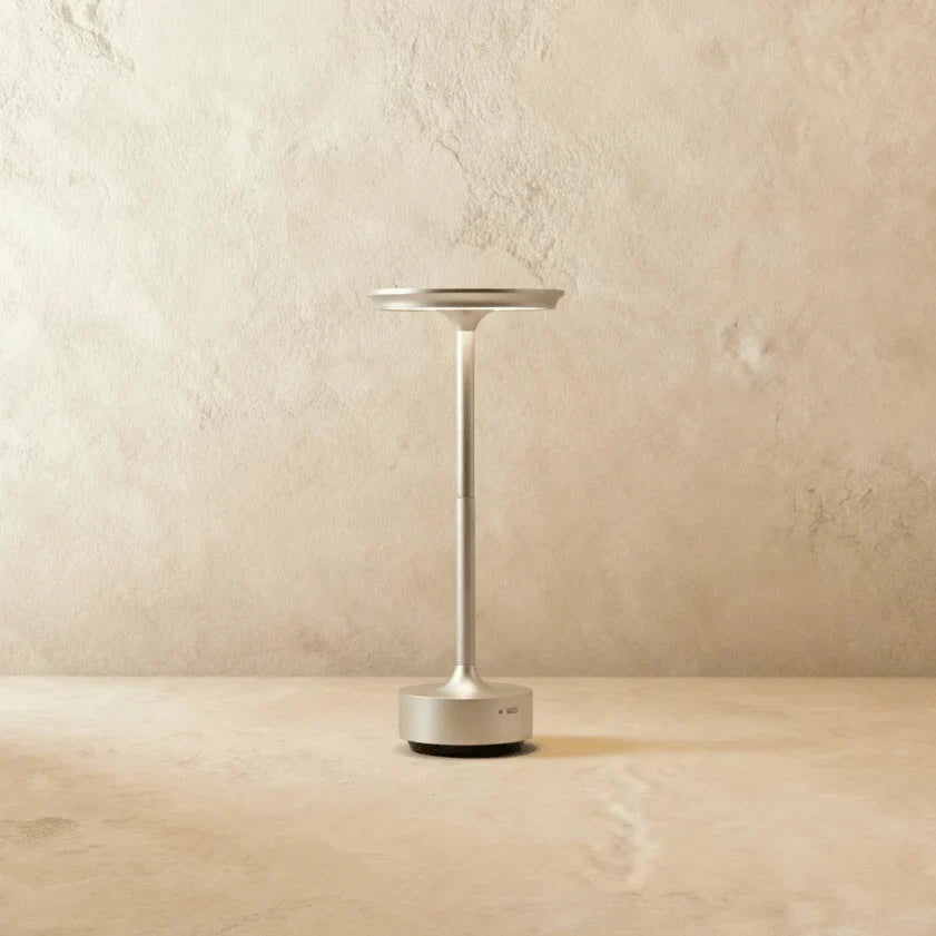 Modern Iron Art Table Lamp LED Light With Acrylic Shade – USB Rechargeable