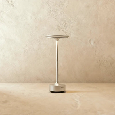 Modern Iron Art Table Lamp LED Light With Acrylic Shade – USB Rechargeable