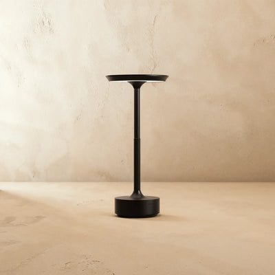 Modern Iron Art Table Lamp LED Light With Acrylic Shade – USB Rechargeable